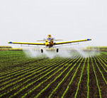 Ariplane spraying filed
