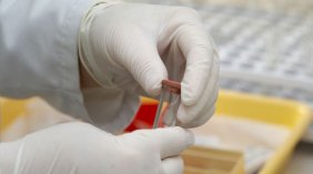 Dos manos enguantadas, sosteniendo un tubo de ensayo en un laboratorio